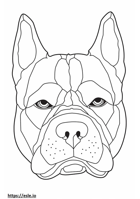 French Bulldog face 3