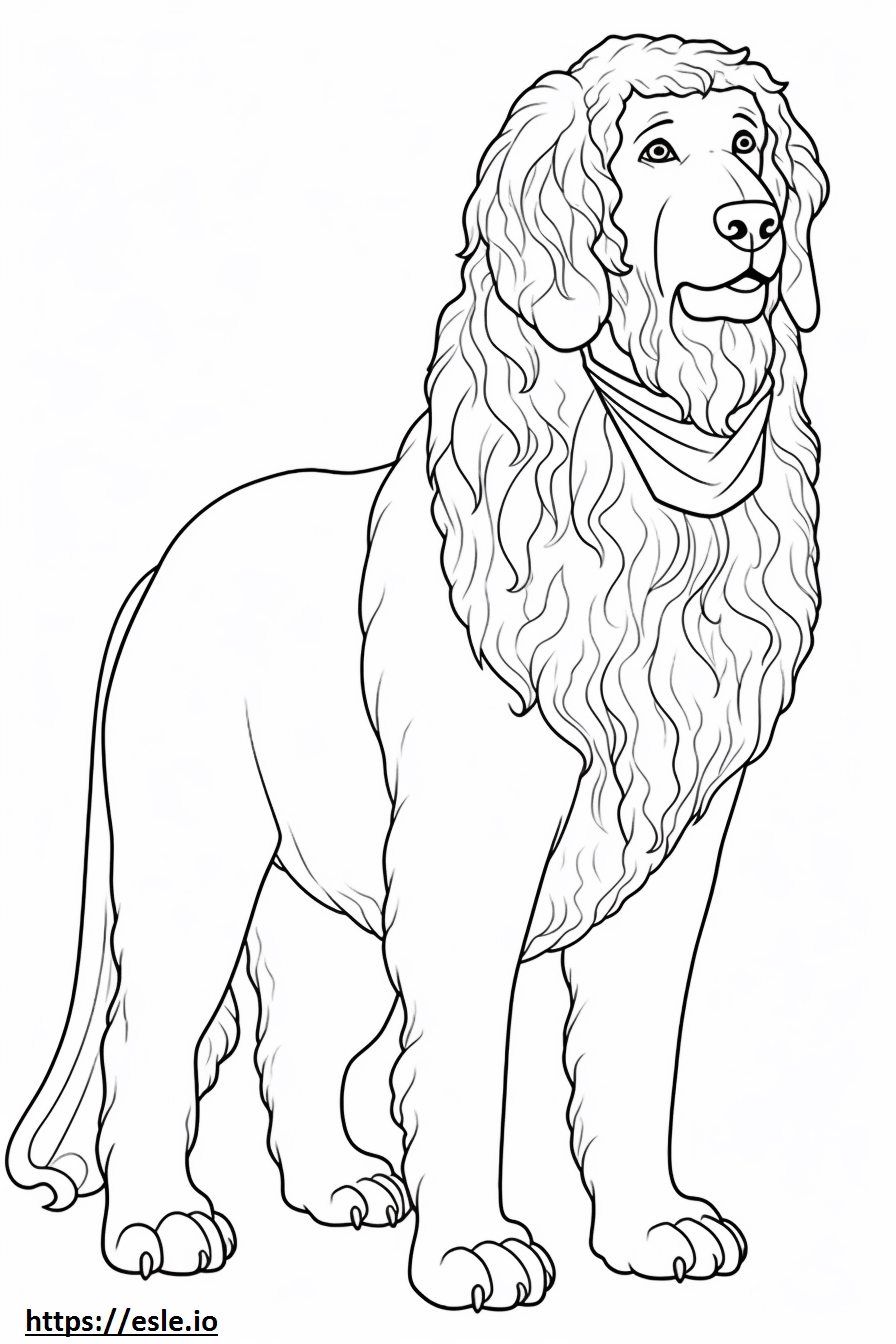 Saint Berdoodle Full Body Coloring Page