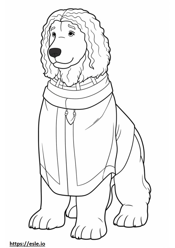 Saint Berdoodle corps entier 2