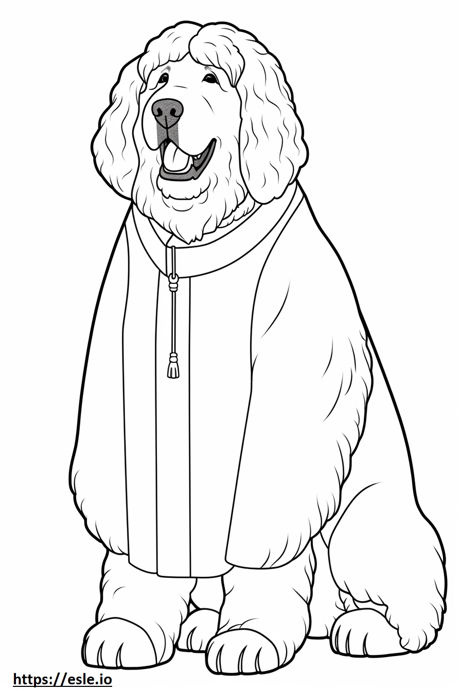 Saint Berdoodle Full Body 3 Coloring Page