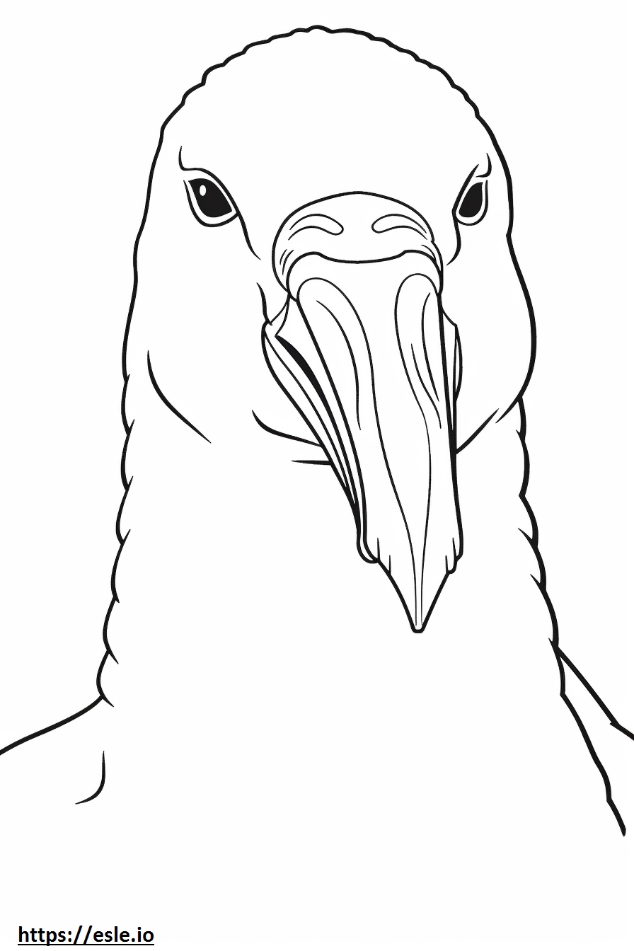 King Penguin face coloring page