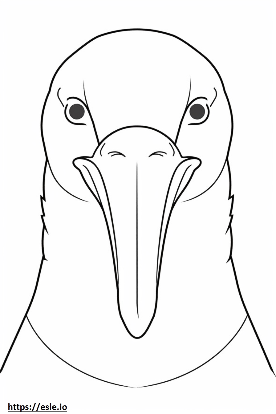 King Penguin face coloring page