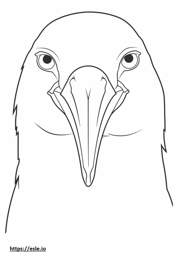Wajah Raja Penguin 3