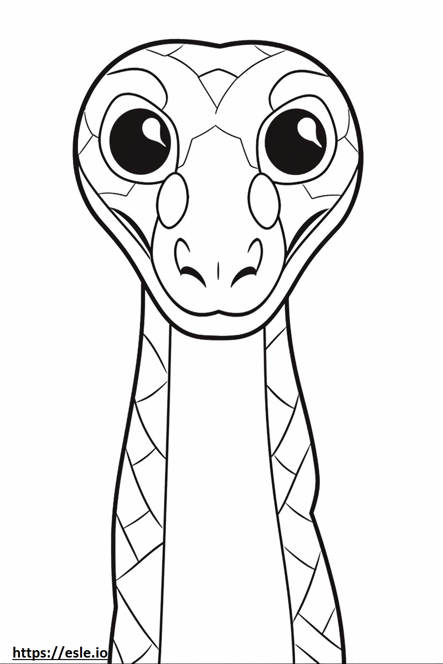 Vine Snake face coloring page