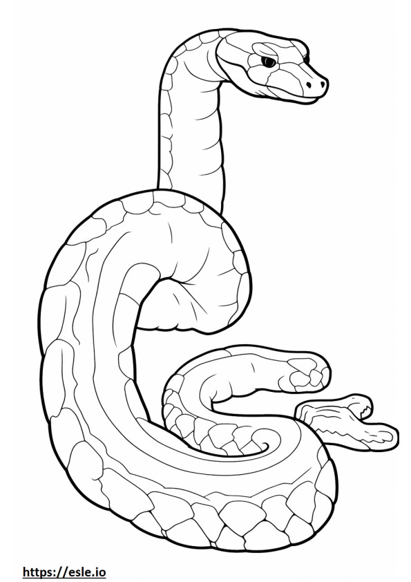 Serpiente de cascabel roja de cuerpo completo para colorear e imprimir