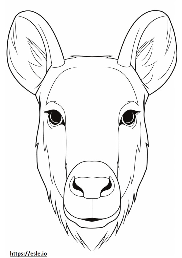 Goral arc 0