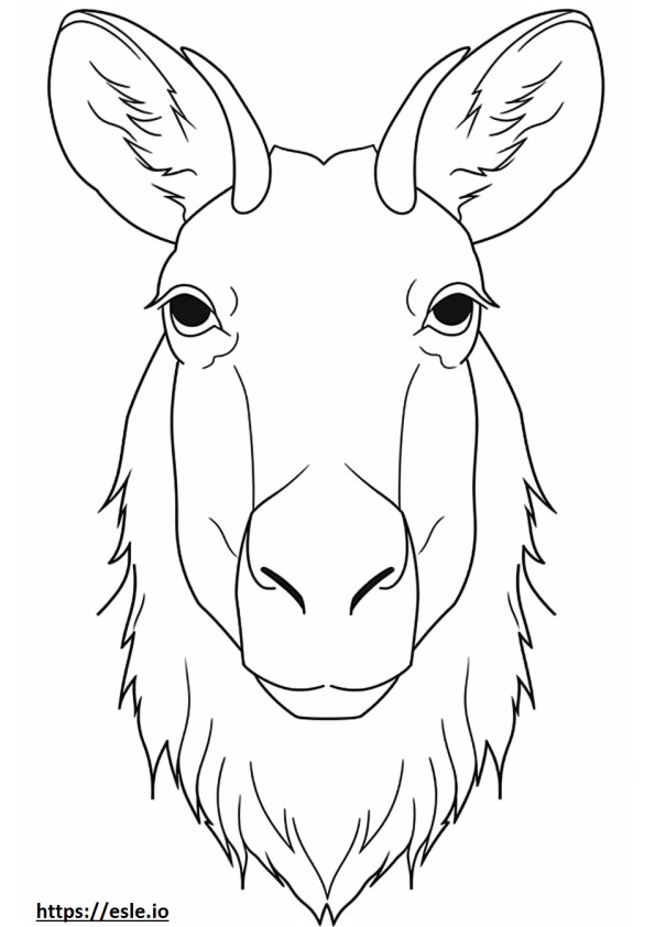 Goral face 1