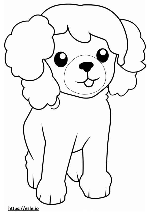 Cavapoo Kawaii 1