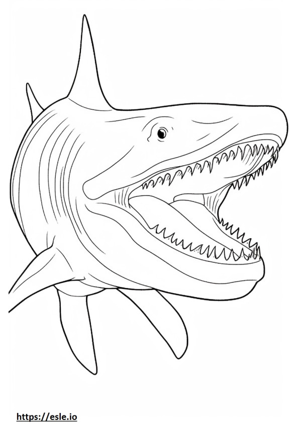 Basking Shark face coloring page