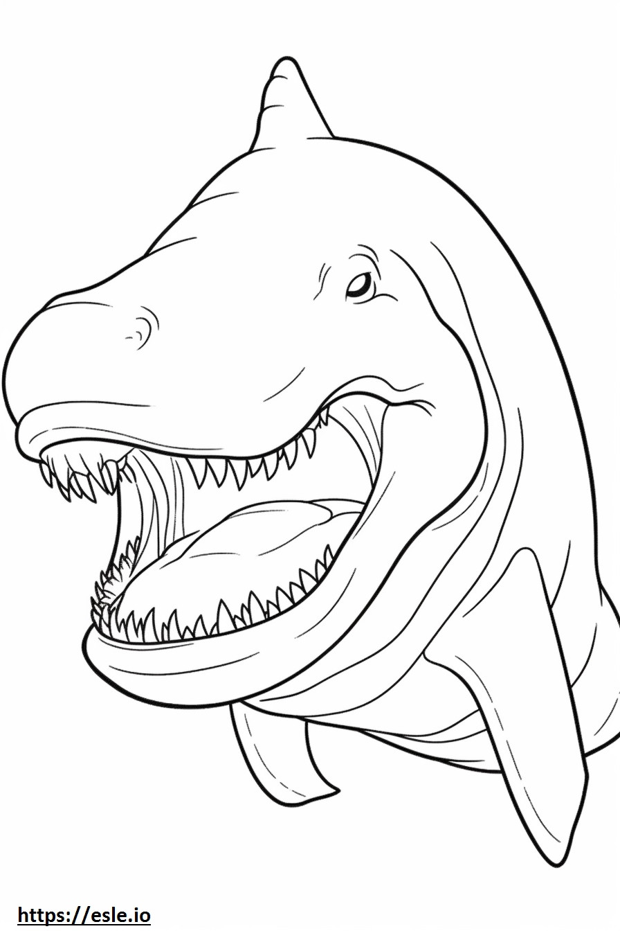 Basking Shark kasvot värityskuva