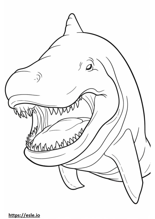 Basking Shark kasvot värityskuva
