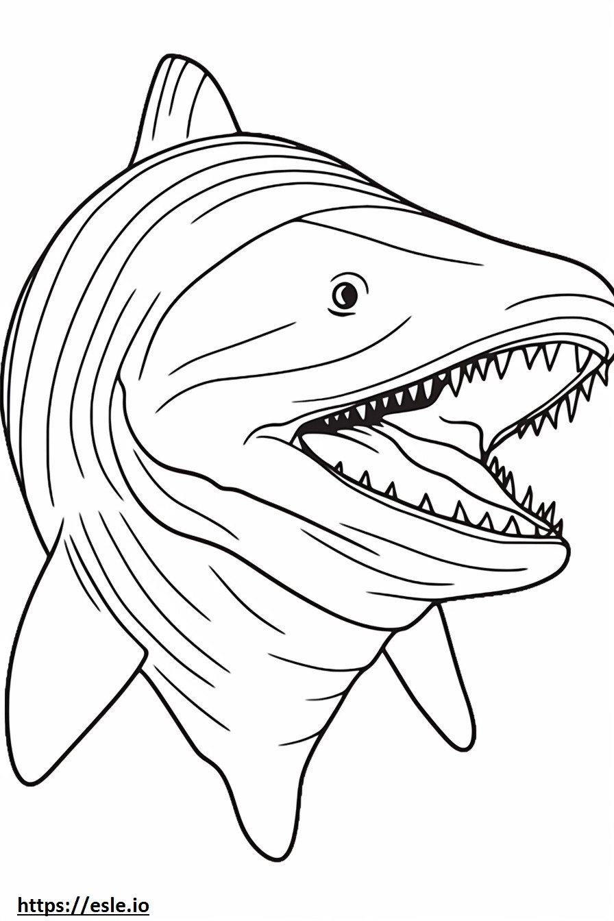 Cara de tubarão-frade para colorir