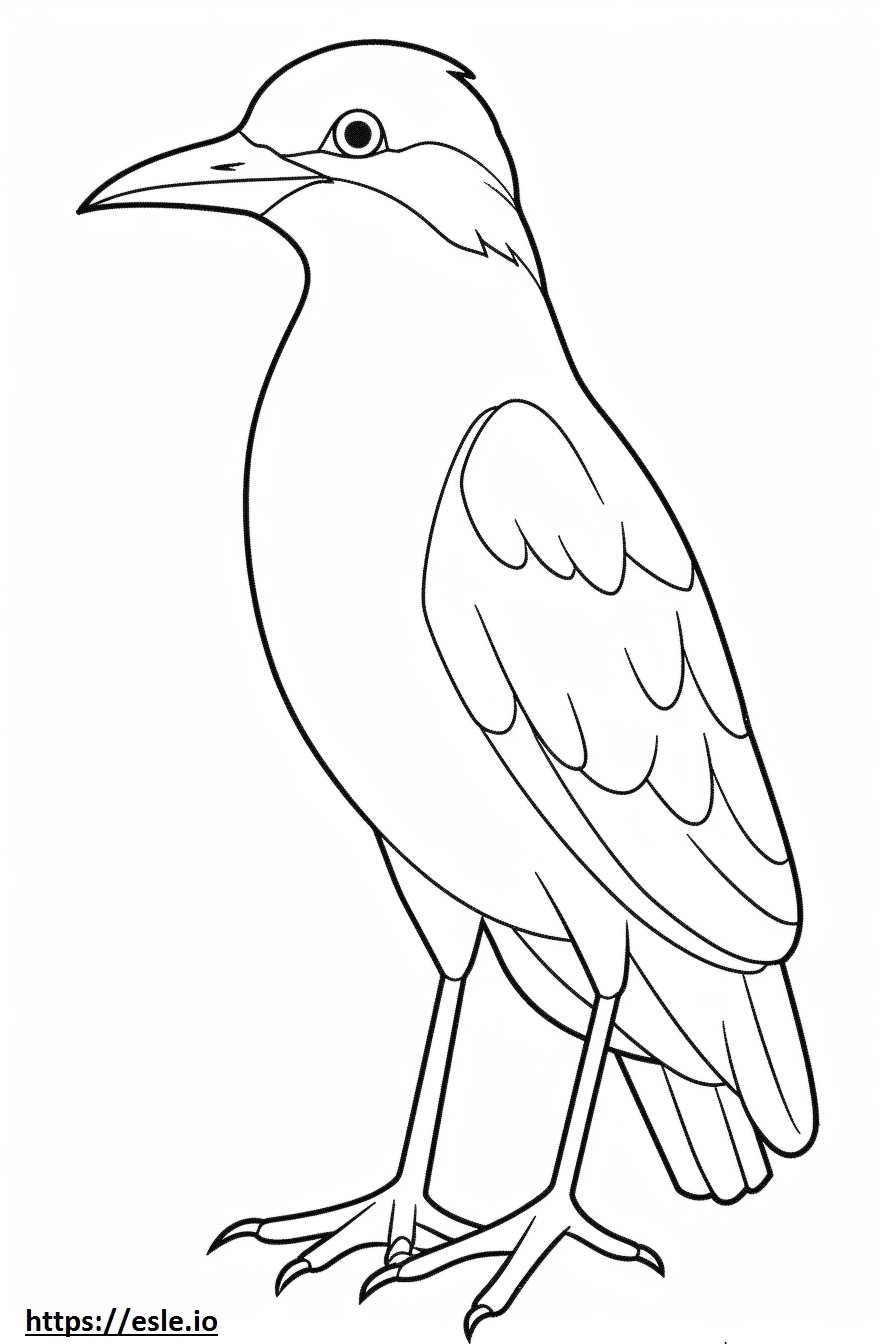 Night Heron cute coloring page