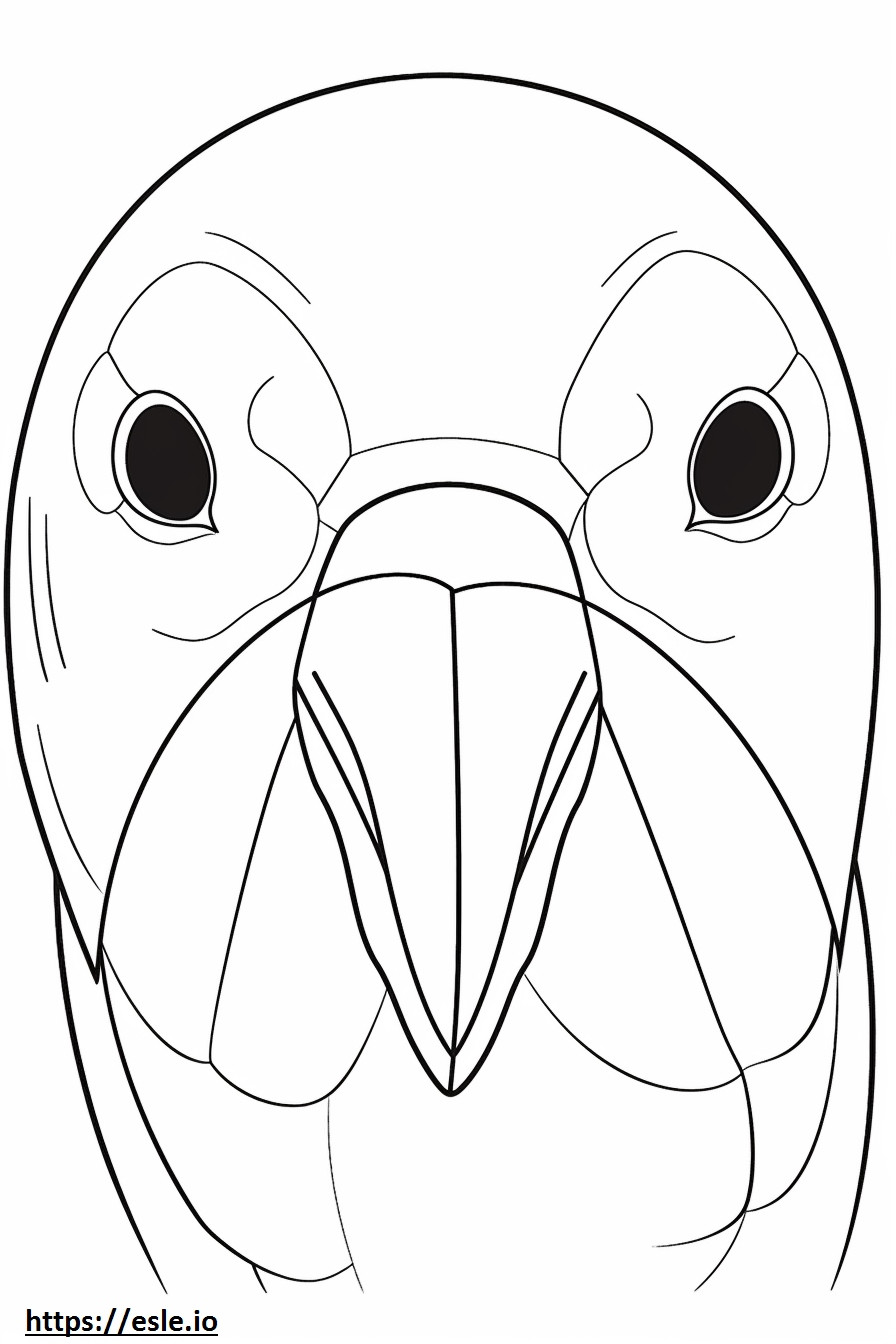 Annas Kolibri-Gesicht ausmalbild