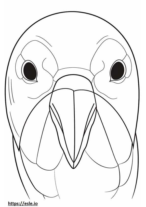 Annas Kolibri-Gesicht ausmalbild