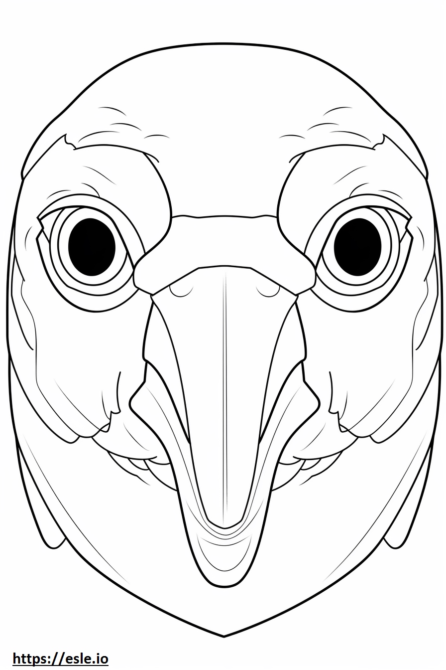 Anna’s Hummingbird face 2 coloring page