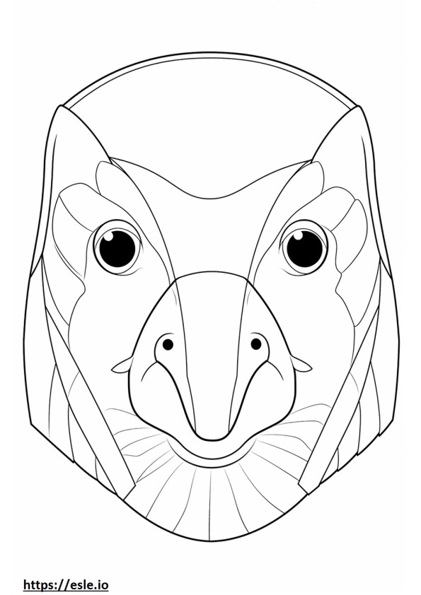 Anna’s Hummingbird face coloring page