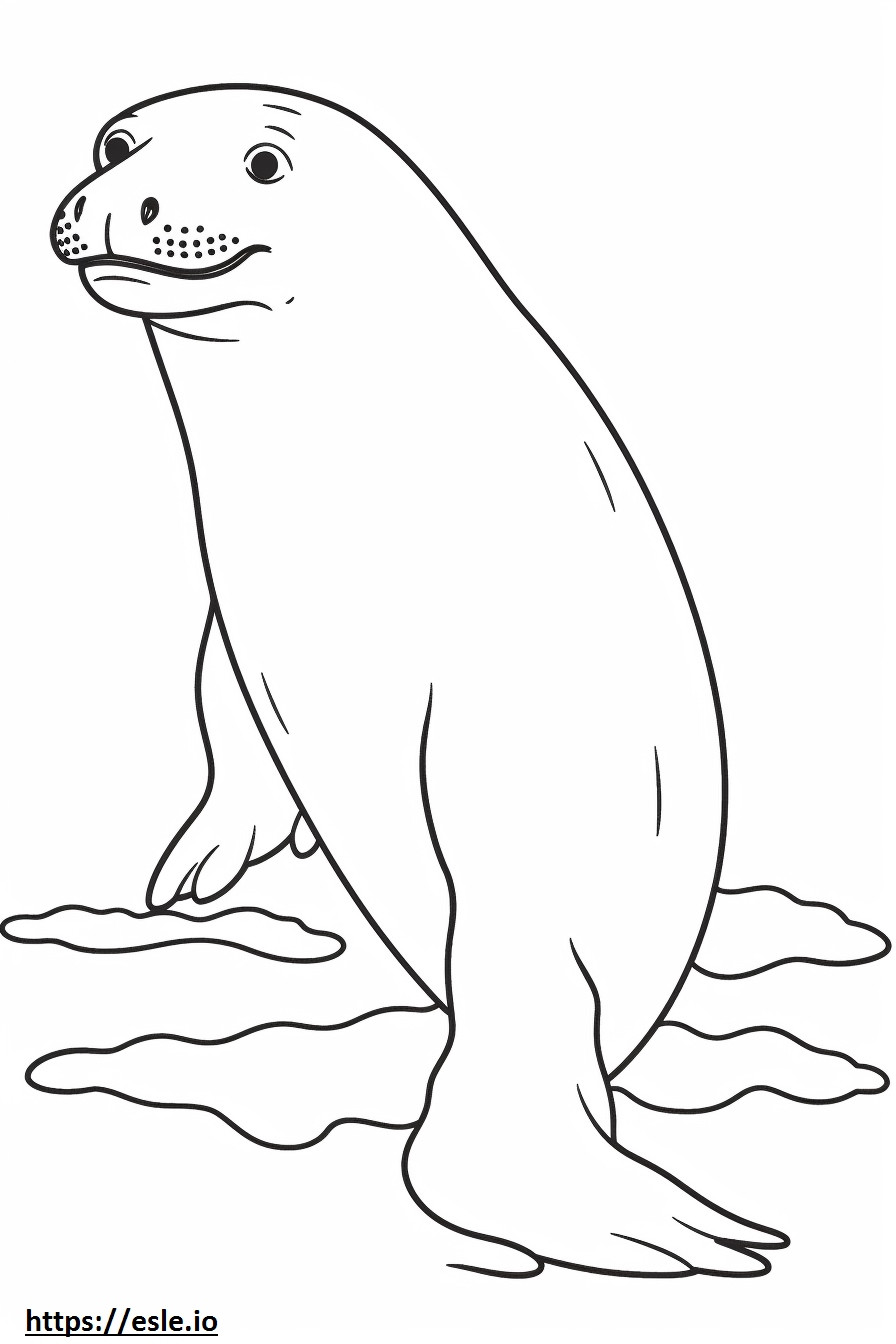 Ganzkörper-Seeleopard ausmalbild