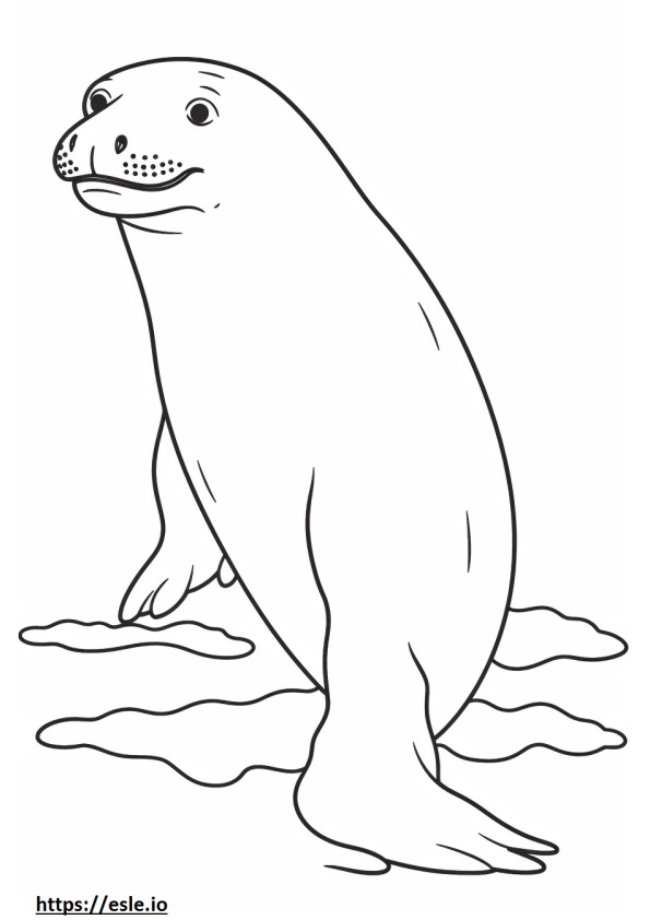 Seluruh tubuh Anjing Laut Macan Tutul gambar mewarnai