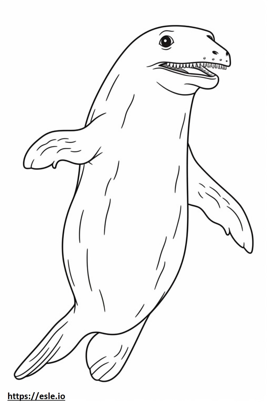 Leopard Seal full body coloring page
