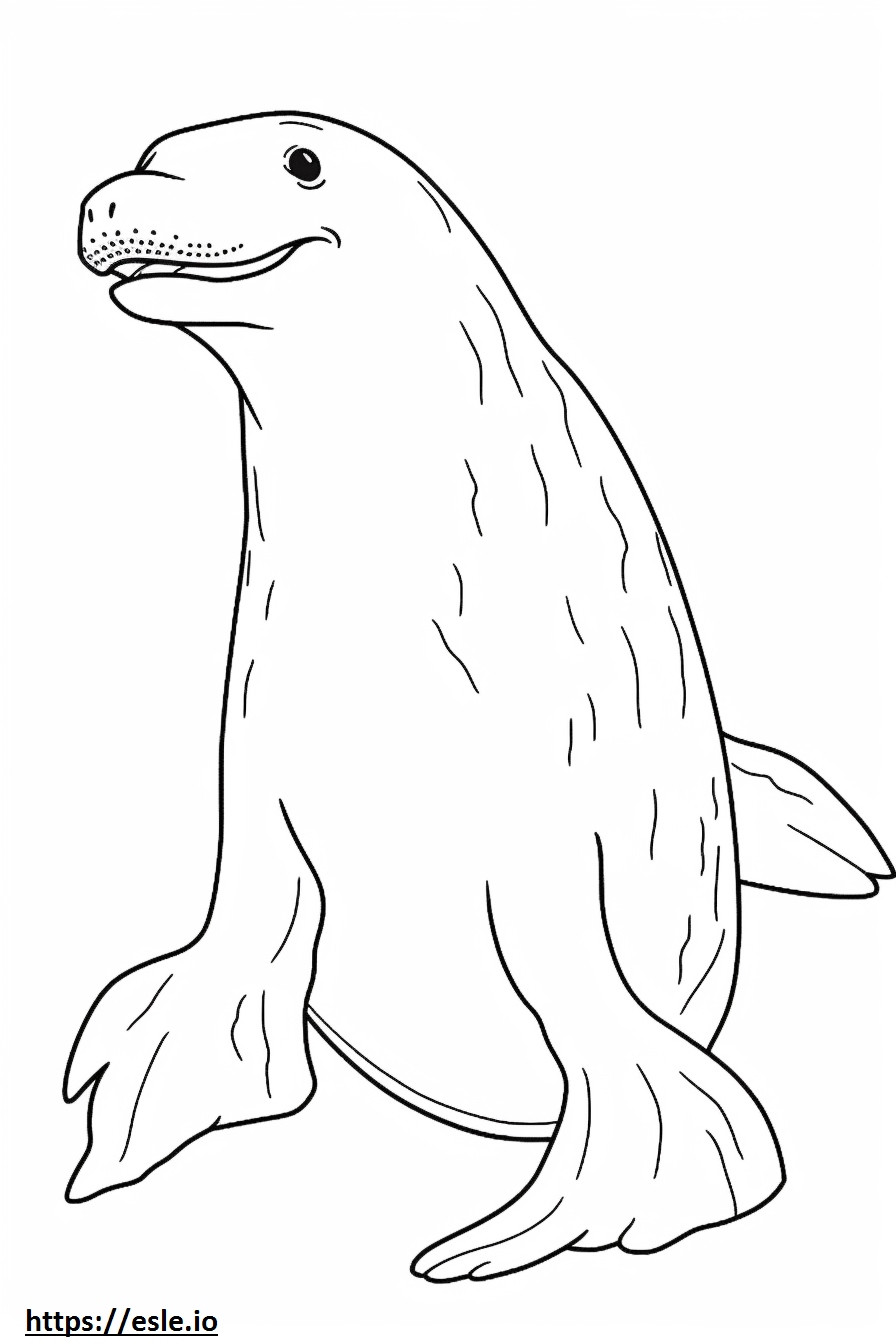 Leopard Seal full body coloring page