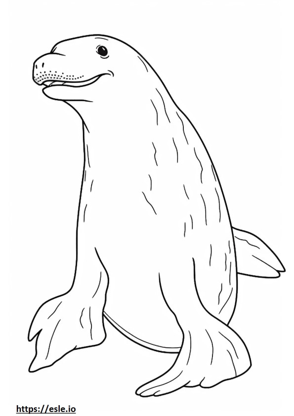 Leopard Seal koko runko värityskuva