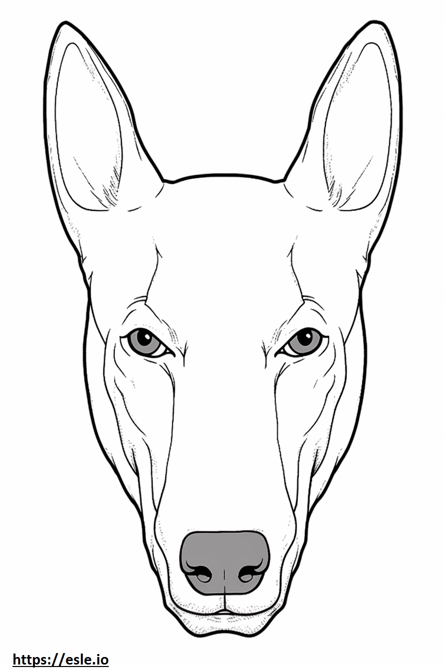 Xoloitzcuintli face coloring page