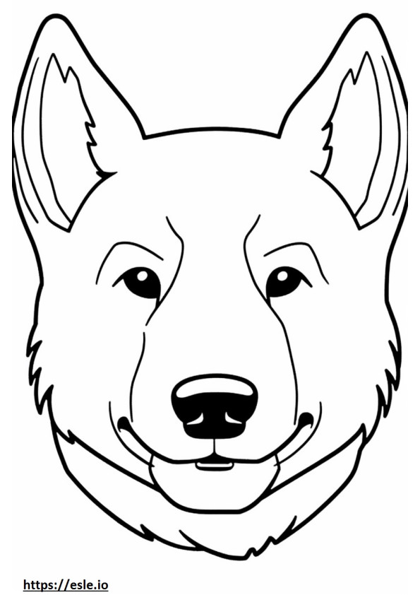 Huskita face 2