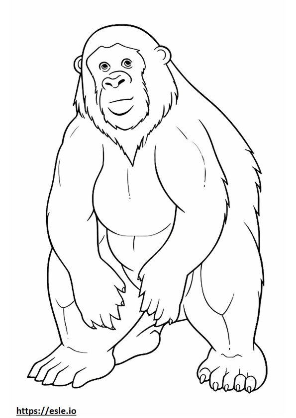 Cross River Gorilla Kawaii 1