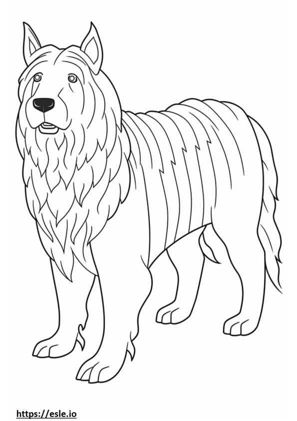 Skye Terrier mignon 2