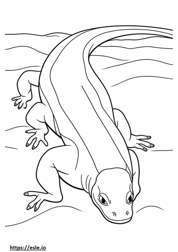 Sand Lizard full body coloring page