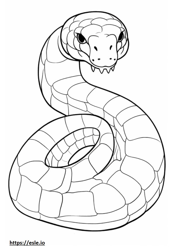 Western Hognose Snake cute coloring page