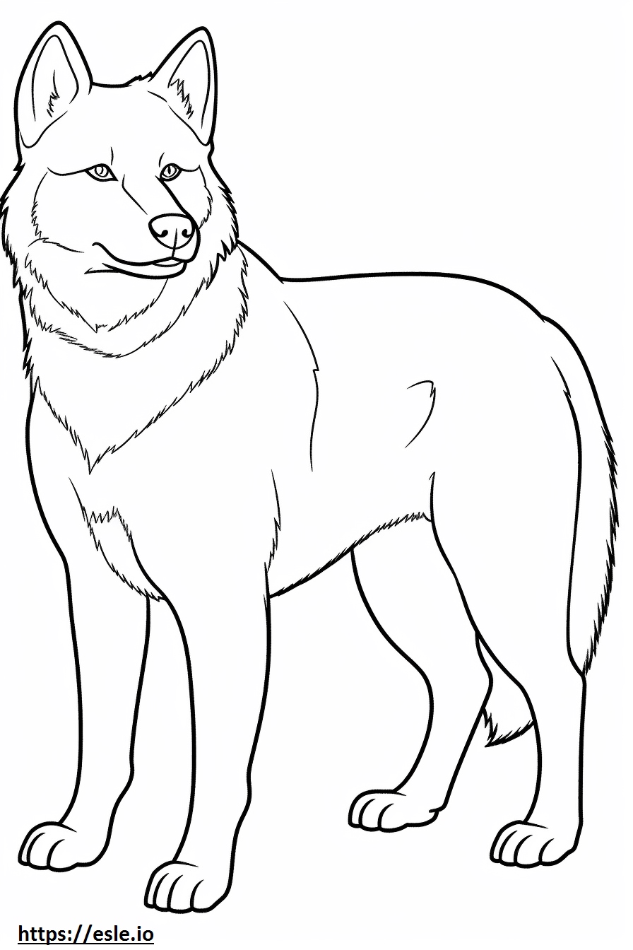 Huskydoodle Full Body Coloring Page