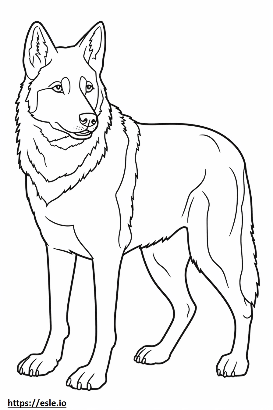 Huskydoodle Full Body Coloring Page
