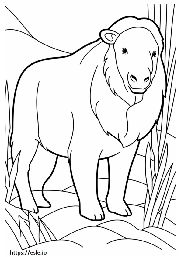 Newfoundland Cute Coloring Page