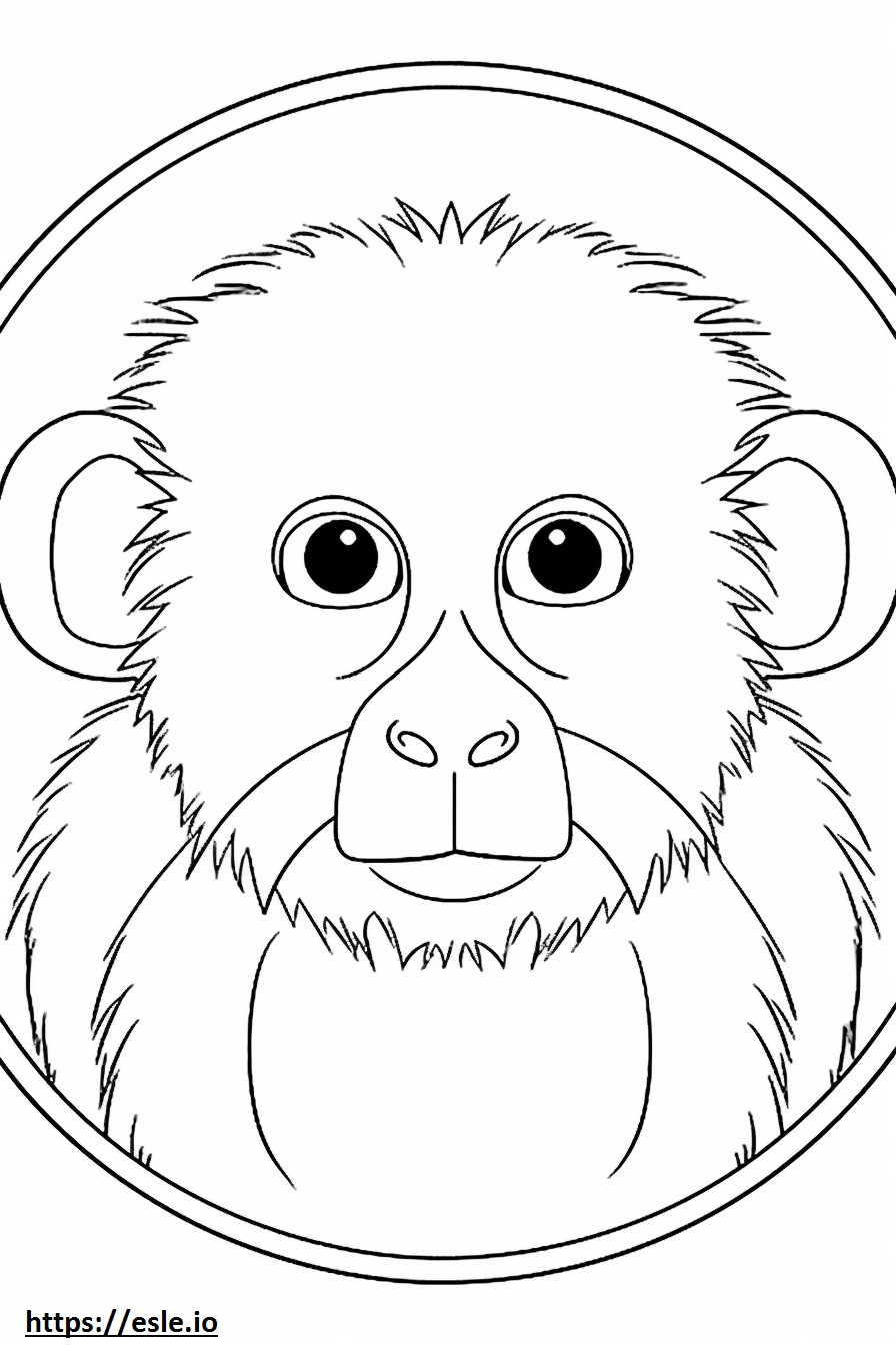 Pygmy Marmoset (Finger Monkey) kasvot värityskuva