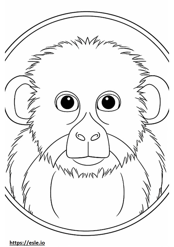 Față de Marmoset pigmeu (maimuță cu degete). de colorat