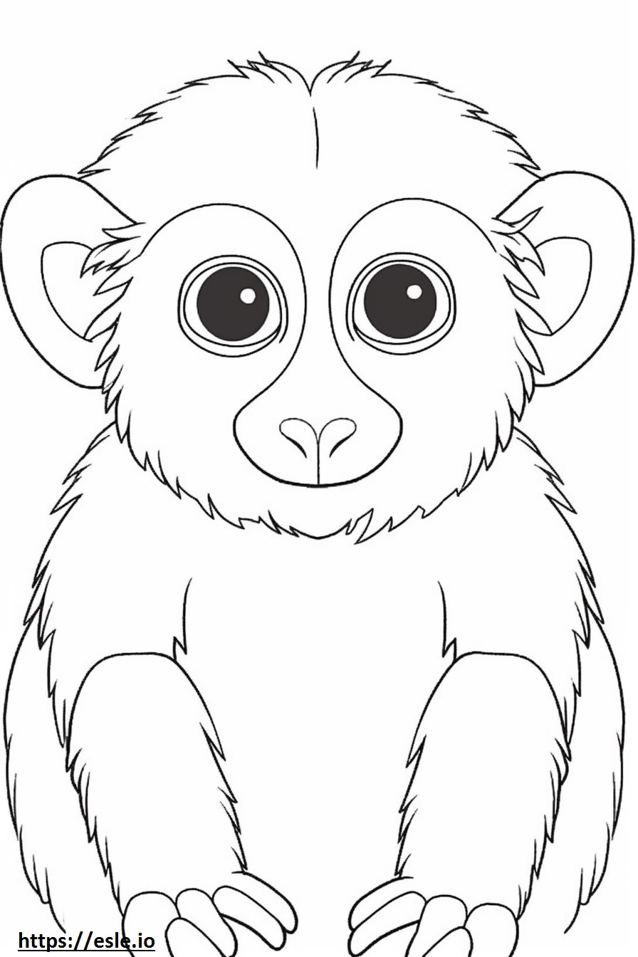 Pygmy Marmoset (Finger Monkey) kasvot värityskuva