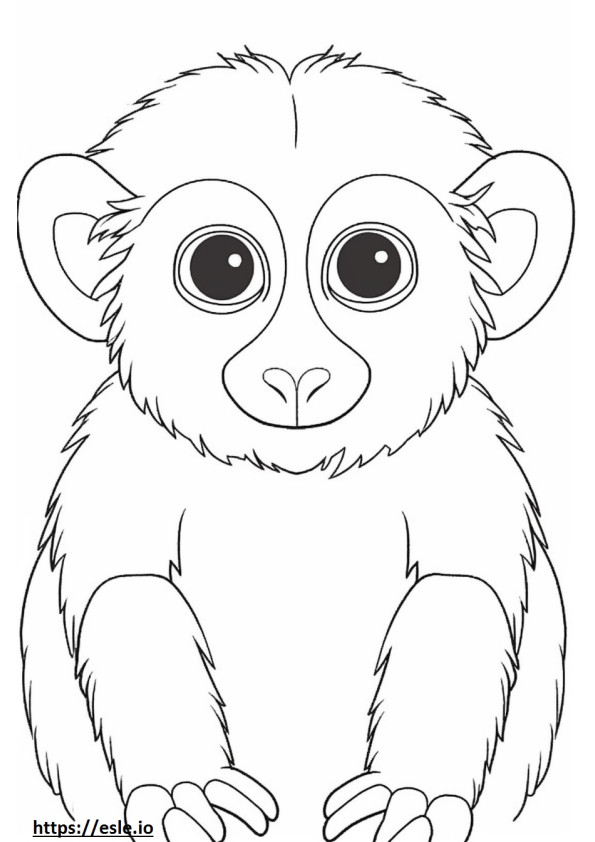Twarz marmozety karłowatej (małpy palcowej). kolorowanka