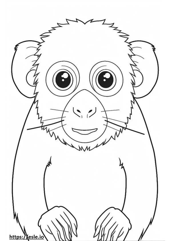 Cara de sagui-pigmeu (macaco-dedo) para colorir