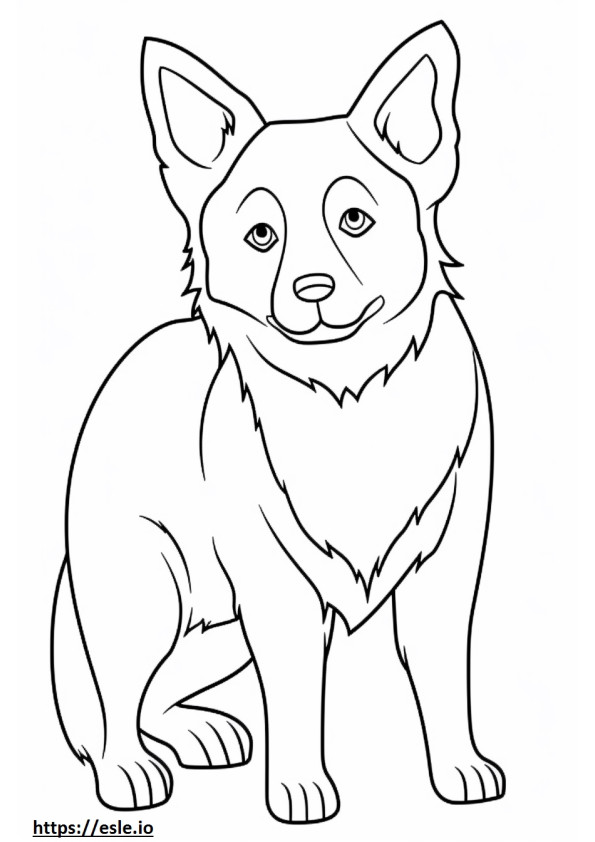 Corgi Gallois Kawaii 0