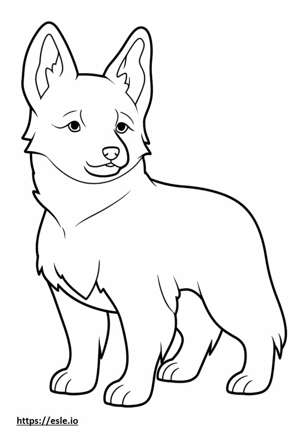 Corgi Gallois Kawaii 2