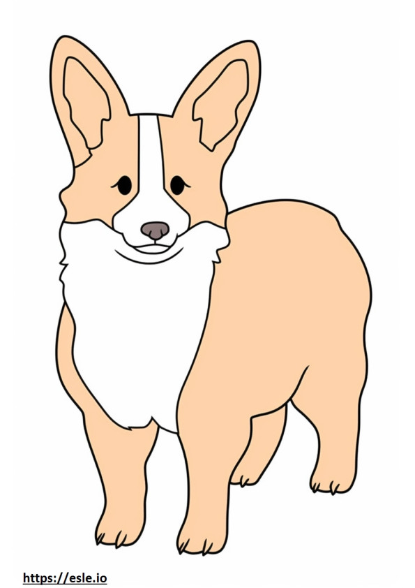 Corgi Gallois Kawaii 3