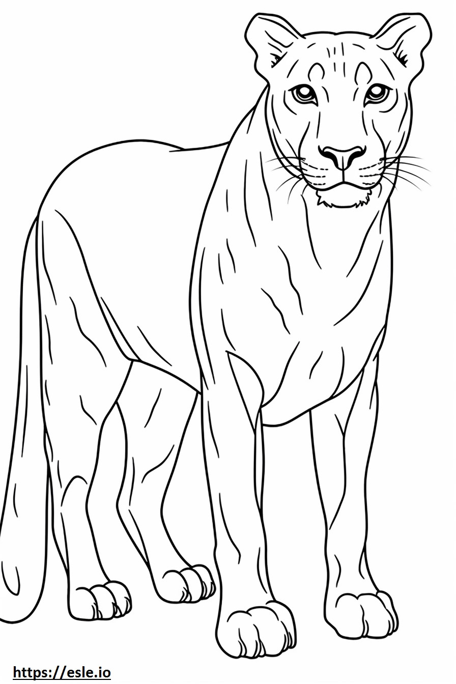 Feist cute coloring page