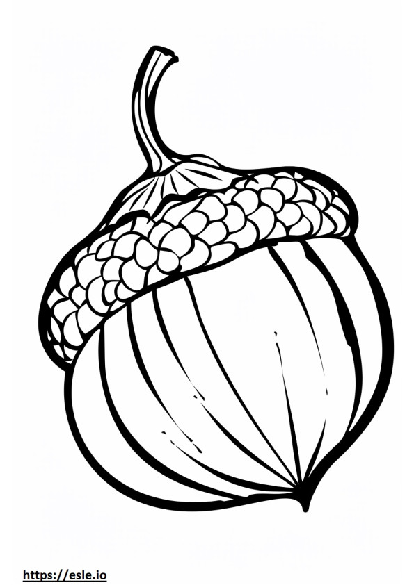Acorn clipart free printable
