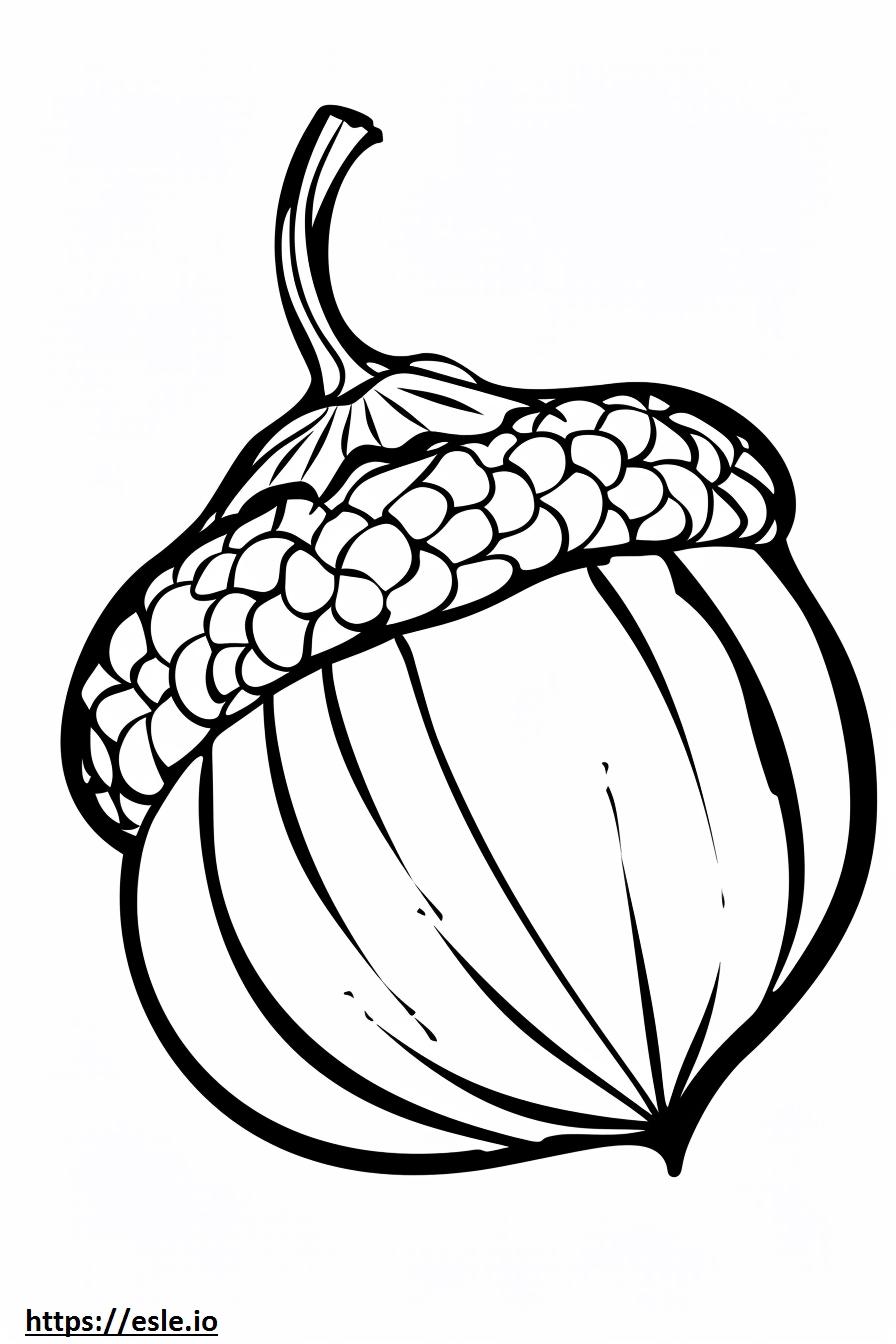 Acorn Clipart Free Printable Coloring Page
