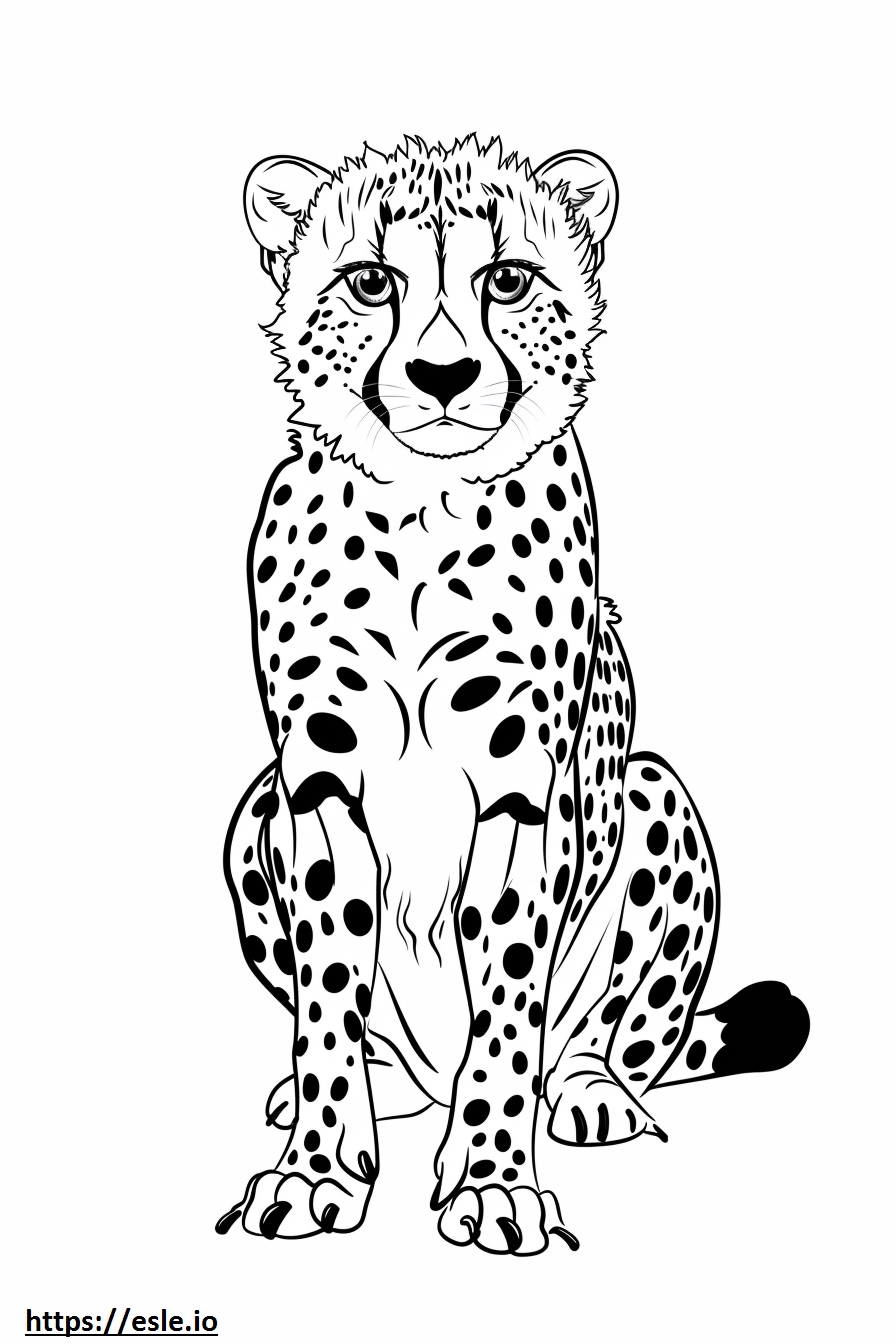 pui de ghepard de colorat