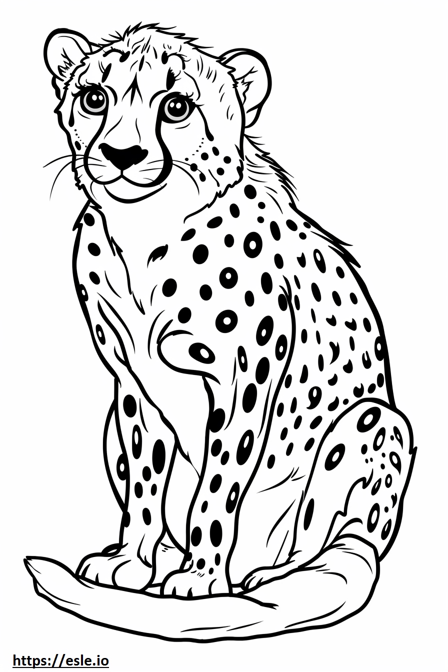 Cheetah cub coloring sheet