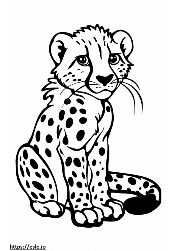 Cheetah cub for coloring