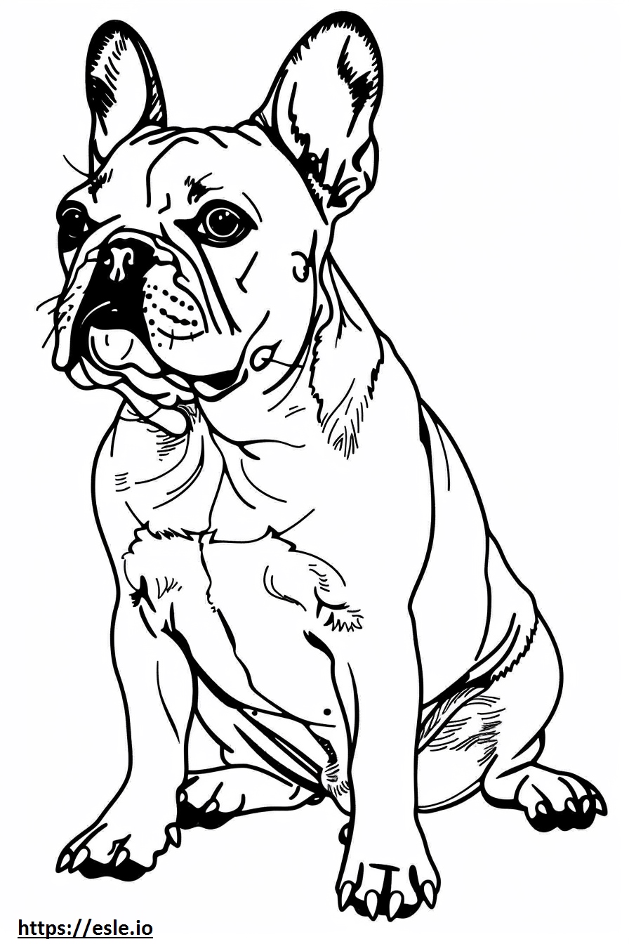 Cute french bulldog for coloring